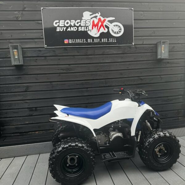Yamaha YFZ 50 2018 - Image 3