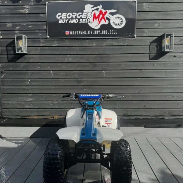Suzuki LT 50 - Image 5