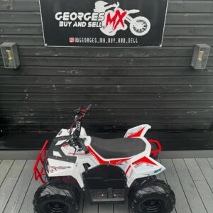 2024 RFN E1000 Fully Electric Quad